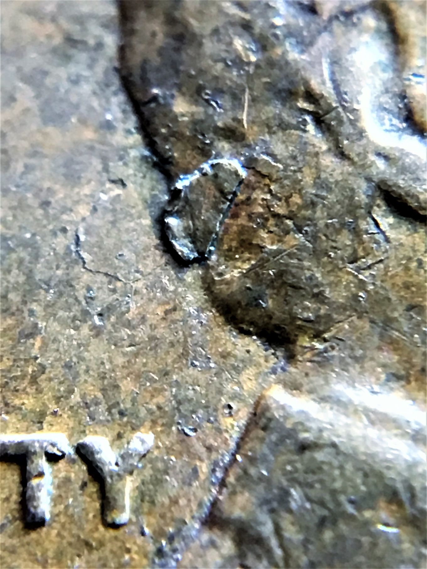 1956-D-LWC-Retained-Lamination?